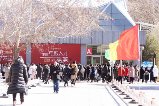 ���Z�M������