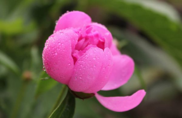 攝影攝像之留白藝術